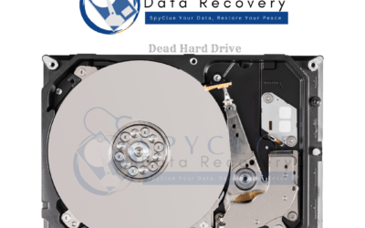 Dead Hard Drive Data Recovery: How to Recover Data from a Non-Functional Hard Drive
