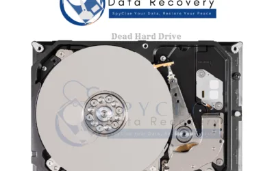 Dead Hard Drive Data Recovery: How to Recover Data from a Non-Functional Hard Drive